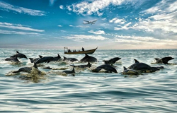 تور قشم هوایی(اسفند ماه)